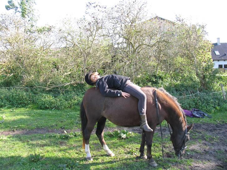 Anden særlig race Tara  billede 5