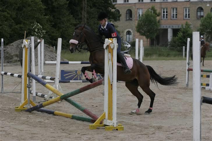 Anden særlig race Sally (solgt) - kommer vi mon over så højt et kryds ;) billede 2