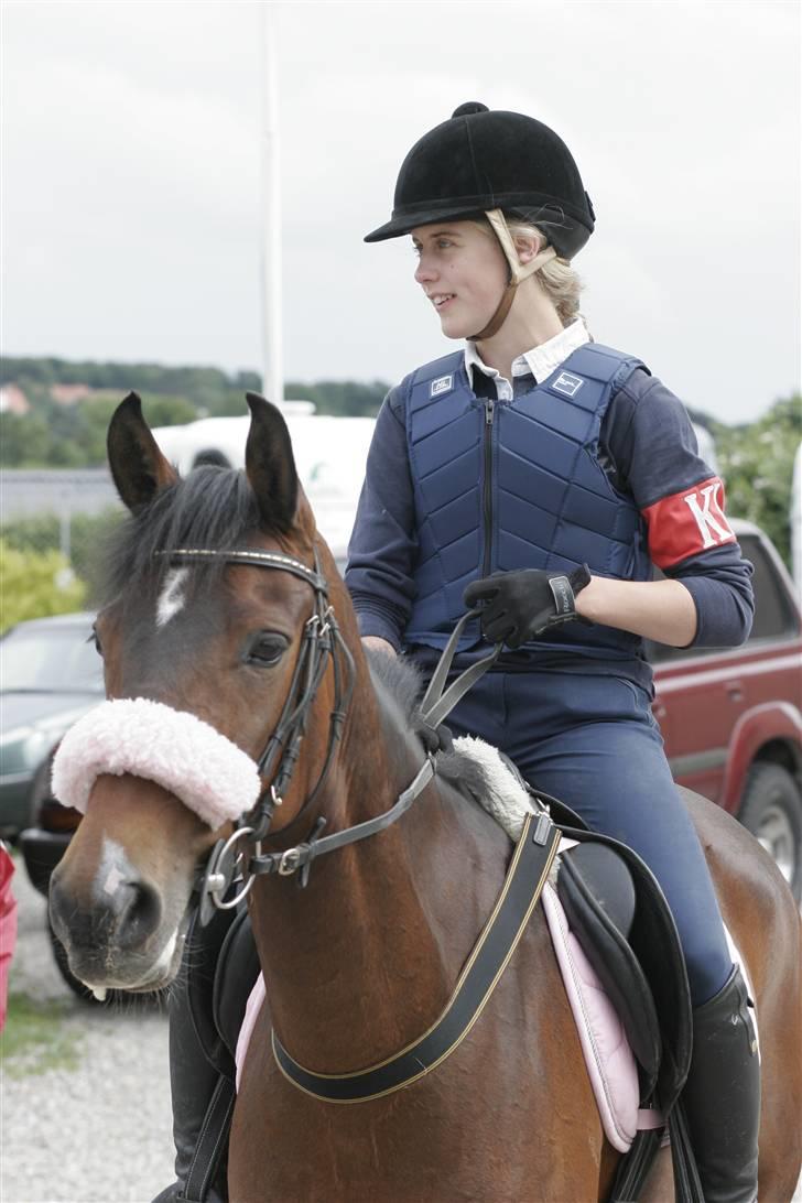 Anden særlig race Sally (solgt) - så smuk er der ikke mange der er<33 billede 4