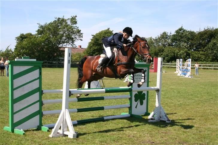 Anden særlig race Sally (solgt) - Stævne i Nejst<33 billede 6