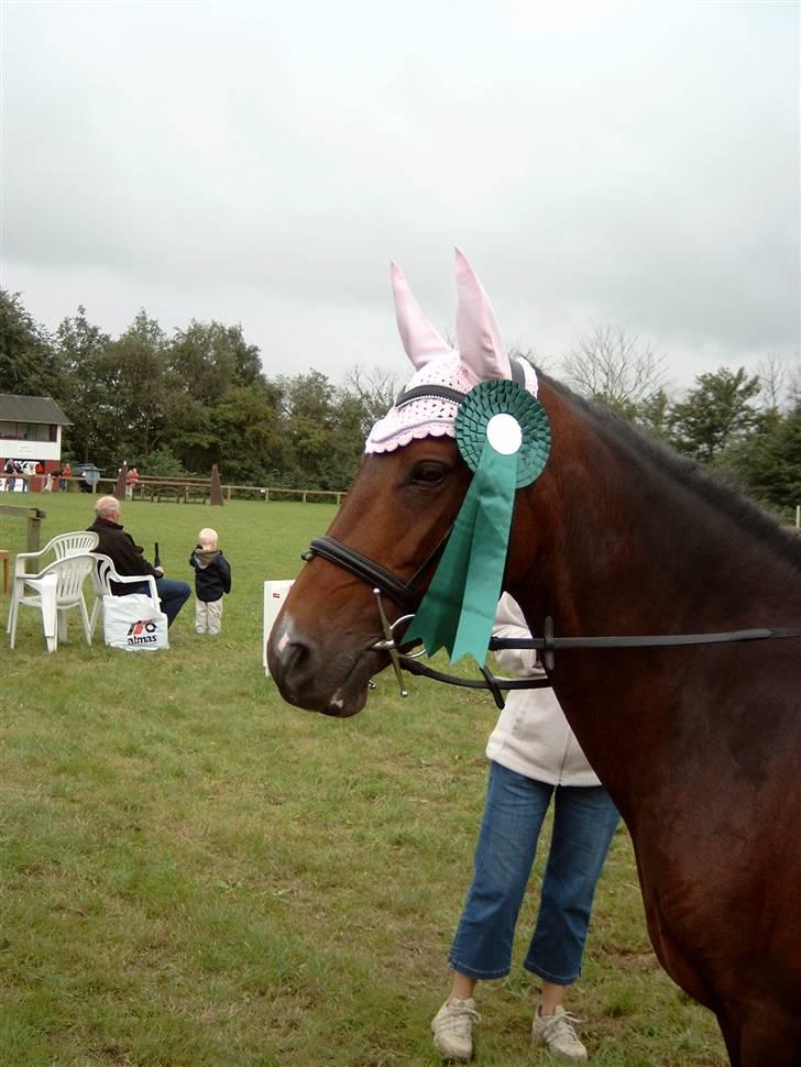 Anden særlig race Sally (solgt) - så er vi blevet nr 5 til Nordjysk Mesterskab<33 billede 7