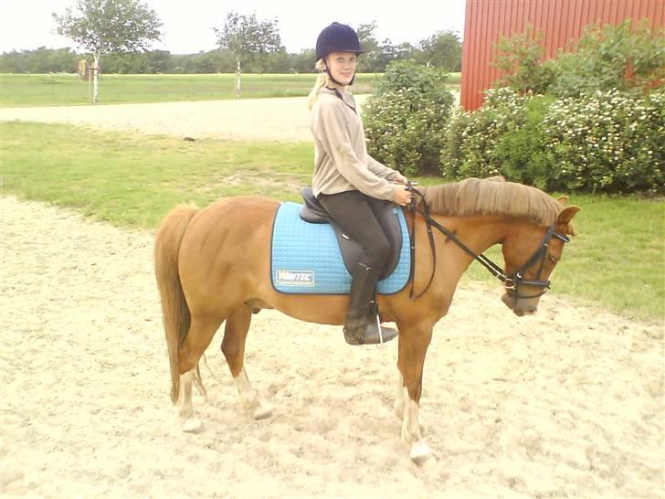 Anden særlig race Jonas (SOLGT) - J O N A S . . . < 3 billede 2