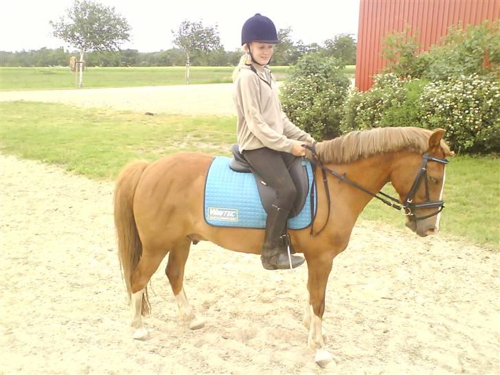 Anden særlig race Jonas (SOLGT) - J O N A S billede 6