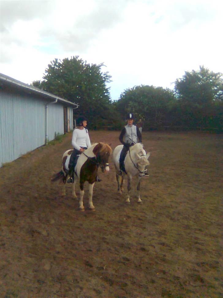 Anden særlig race Gimli - Her står jeg ved siden af Indiannajones og louise :) (Cecilie og mig til højre ) (Fotograf: Fimse <3 Tak ) billede 17