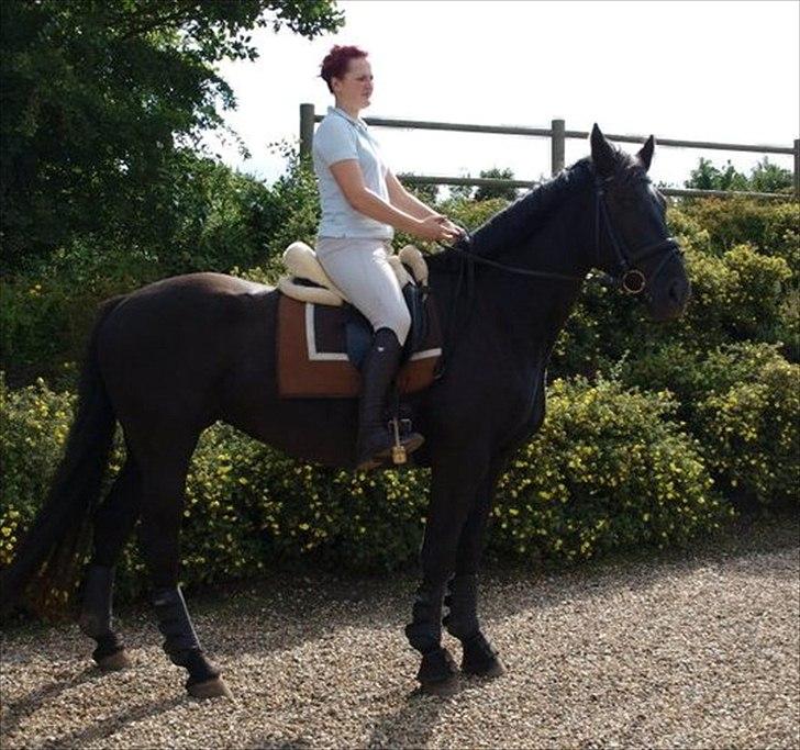 Knabstrupper Majco' Thunder Coffee - Coffee som den stolte og dygtige mor ! billede 1