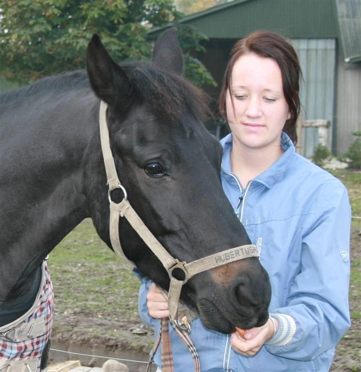 New Forest elmholts dream dancer   - sep 08 sidste dag med dudi:( billede 17
