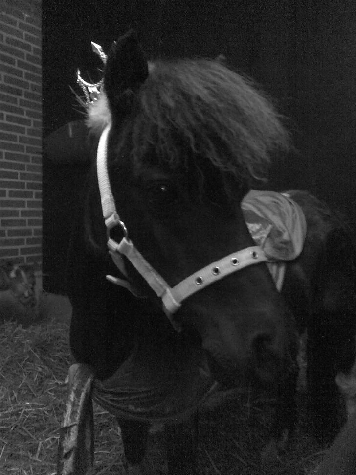 Miniature Prinsesse Fra Supersesse - prinsesse <3 velkommen til min side. <3 i må kun kopirere billederne hvis i få lov af mig ) billede 1