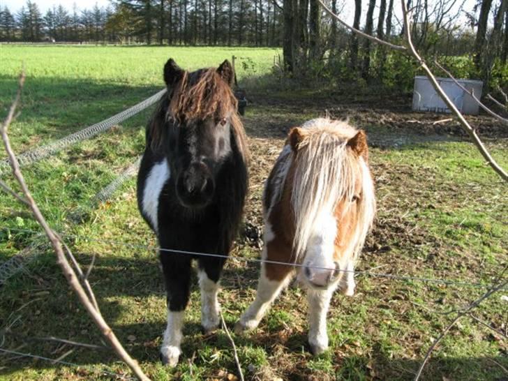 Miniature Prinsesse Fra Supersesse - Prinsesse og Superman <3 ( i må kun kopirere billederne hvis i få lov af mig ) billede 5