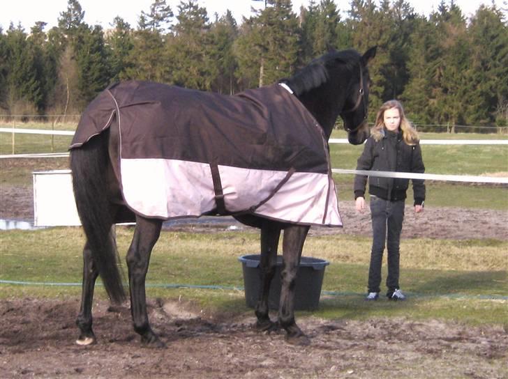 Dansk Varmblod Fair-Fight - Fighter viser lige Bolette hvordan man krybbebidder rigtigt :D  billede 8
