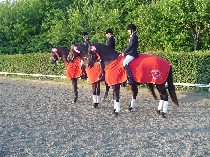 Oldenborg Ally af Egense R.I.P. - Distriktsmestre for hold 2007 billede 17