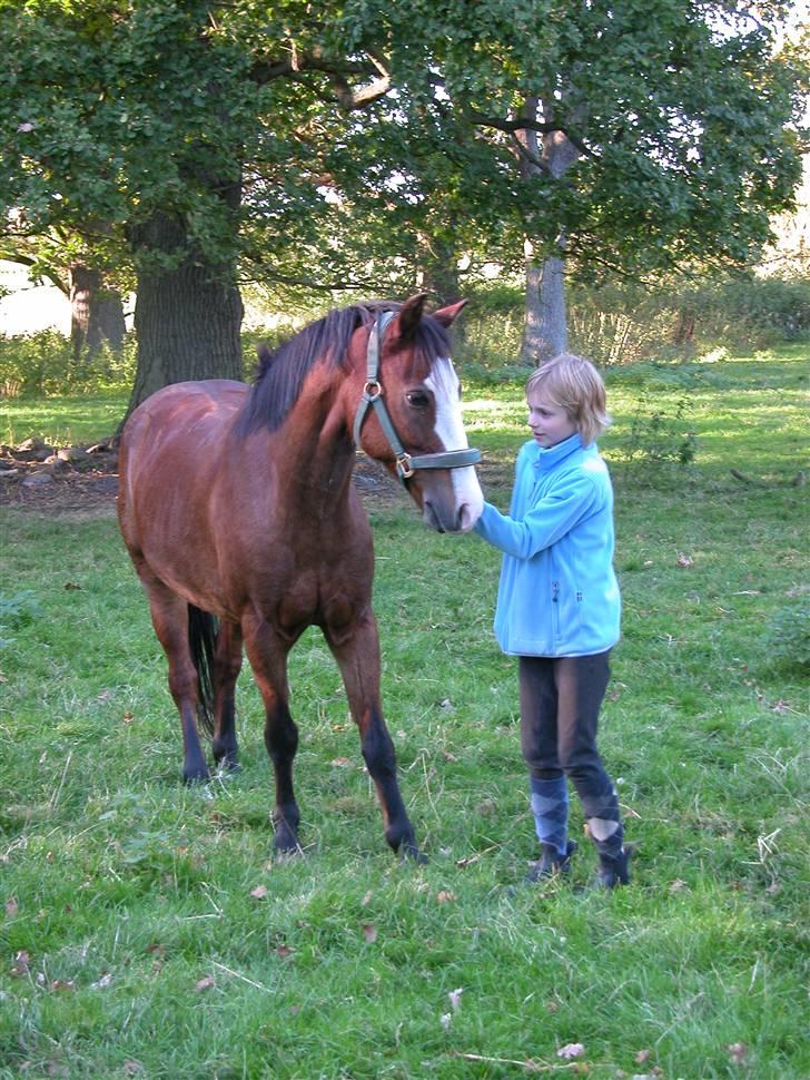 Anden særlig race Romeo (R.I.P.) - Du skal da lige have en gulerod. billede 12