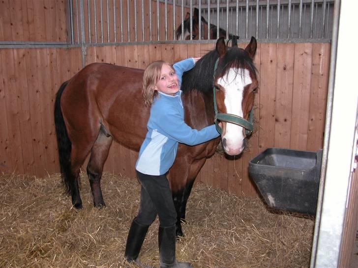 Anden særlig race Romeo (R.I.P.) - Tydeligt at se kærligheden billede 13