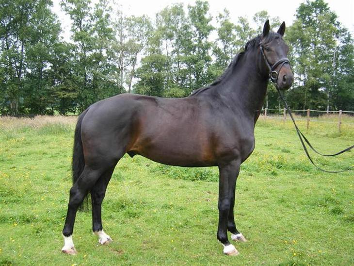 {{currentPhoto.altText}} billede {{currentPhoto.number}}