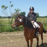 Anden særlig race bella "SOLGT" :0(