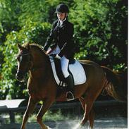 Anden særlig race Godtfred