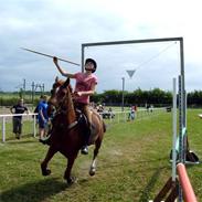 Anden særlig race Godtfred