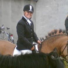 Connemara Smilla -<´33 (solgt)