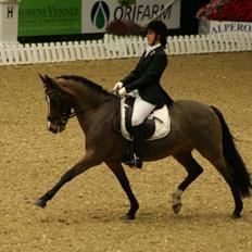 New Forest Strandagers Maritza