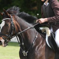 New Forest Heidi - Solgt