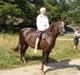 New Forest Emma