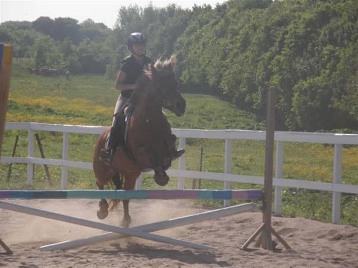 Anden særlig race Barcardi  - nurh hvor sødt, et lidt sjovt spring, men øhm? :D  billede 1