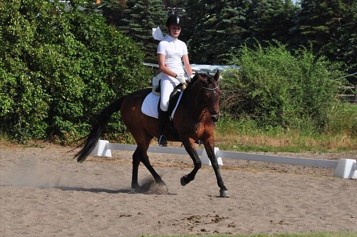 Anden særlig race Simba <3 - 12 - Jeg lovede, at jeg aldrig ville give op ! <3 billede 12