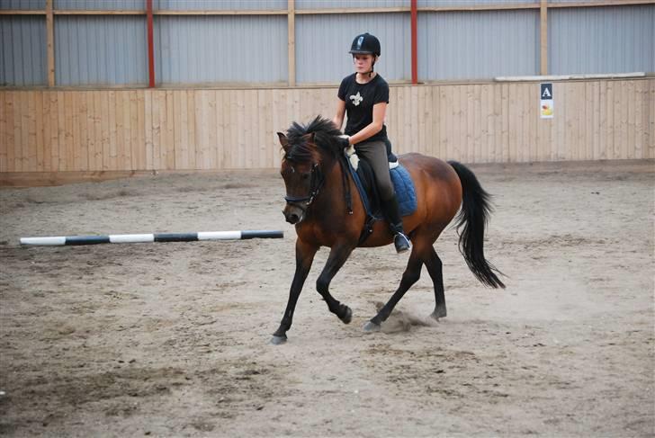 Anden særlig race Simba <3 - 13 - Jeg lovede og troede på, at vi passede perfekt sammen ! <3 billede 13