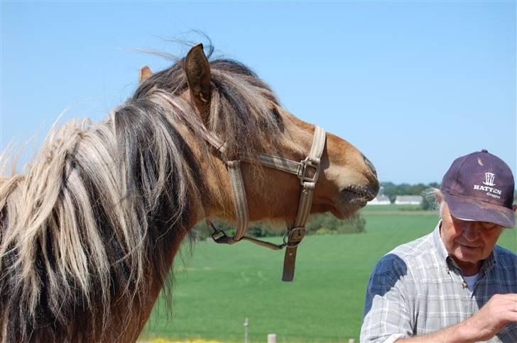 Anden særlig race Mia Bella billede 16