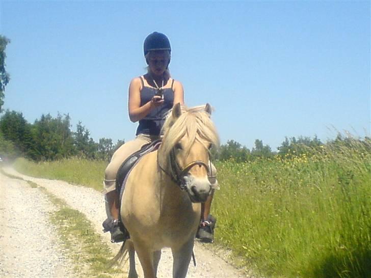 Fjordhest Bella <3 - Emilie min på dejlige Bella :D  På vej hjem fra skoven ! [Fotograf: Mig] billede 14