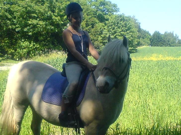 Fjordhest Bella <3 - Bella og Emilie kigger på nogle hunde geder ting :D Haha , [Fotograf: Mig] billede 15