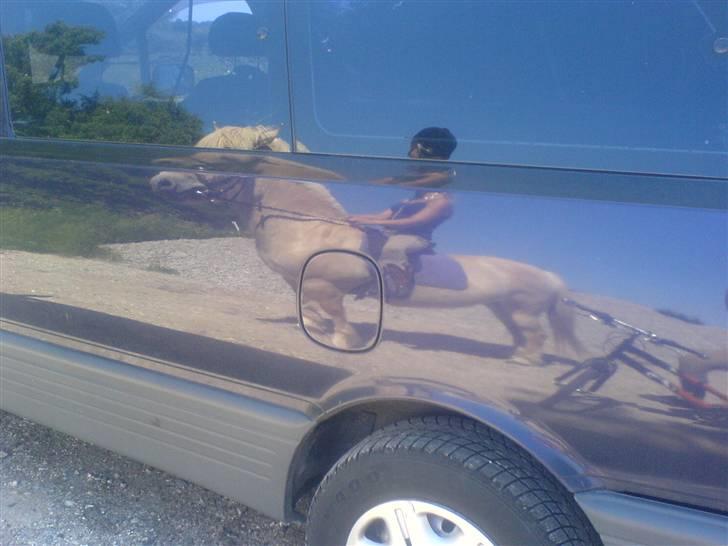 Fjordhest Bella <3 - Syyygt grinern billede ! Bella ser altså sådan ud i en bil (Kan godt forstå at hun bev forskrækket lige efter det her billede blev taget) [Fotograf: Mig] billede 16