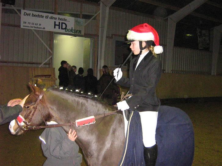 Welsh Pony (sec B) Bjerregårds Manhatten  - Julestævne i TØRK billede 7
