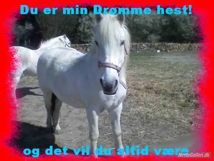 Anden særlig race - Amanda - uhhh Sandt! billede 9