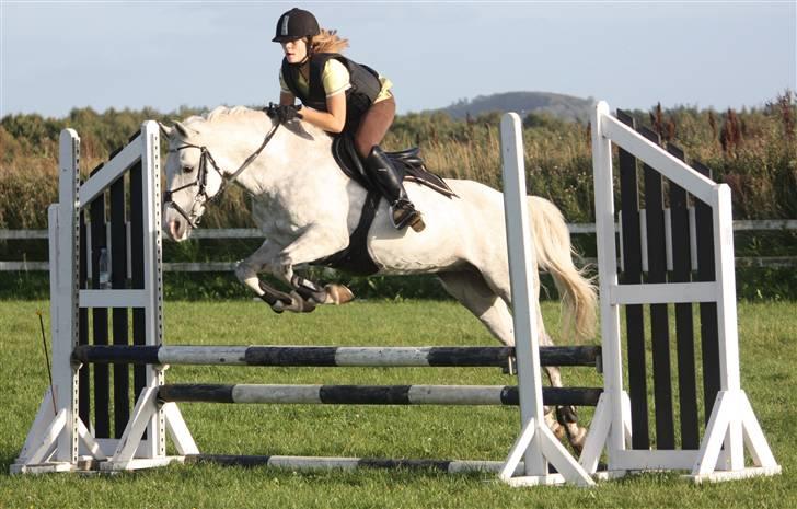 Anden særlig race Fiona *solgt* - til træning der hjemme på skrk Fotograf: Katrine "3" billede 3