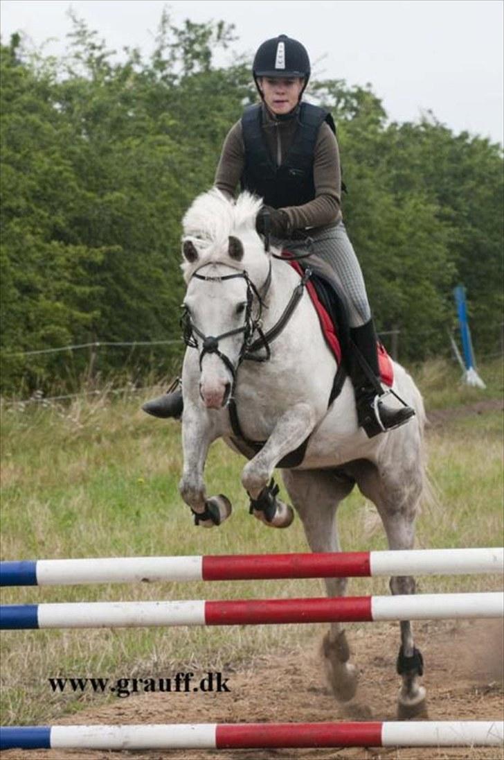 Anden særlig race Fiona *solgt* - På ridelejr på Grauff 2010. Det var et helt vildt fedt sted! Fotograf: Grauff "4" billede 4