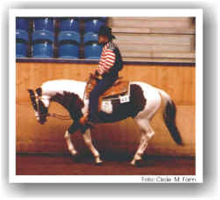 Paint Junior *R.I.P* :'( - her rider hans far en smuk galop i den klasse der kaldes pleasure. billede 19