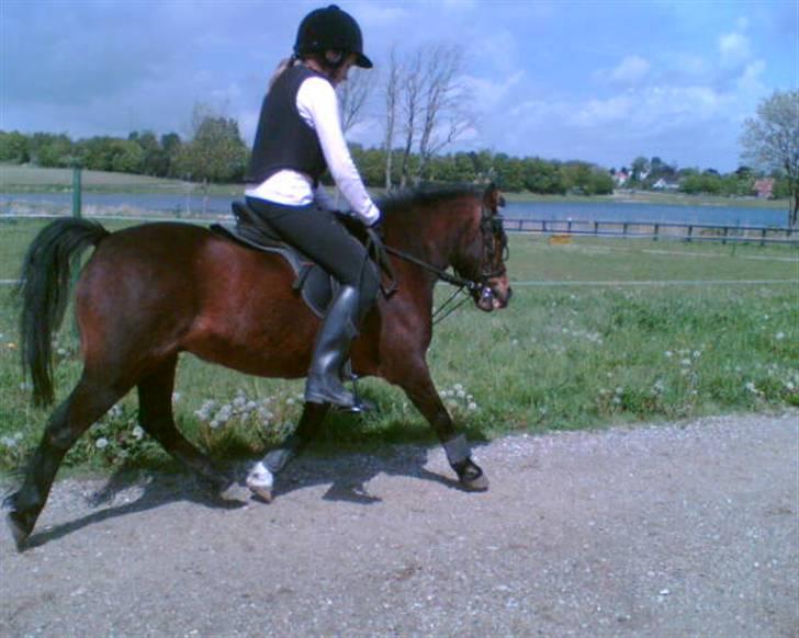 Anden særlig race Sigurd Olsen - Er jeg ikke bare dygtig? Taget af Julie billede 13