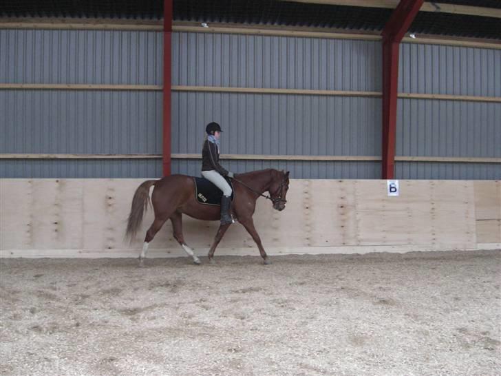 DSP Oliver - Solgt billede 12