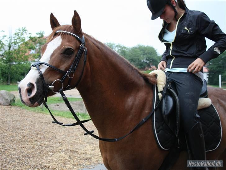 Anden særlig race Dinky-Boy solgt /; - dinky og jeg. haha (; Foto: Anna Skov Sørensen billede 12
