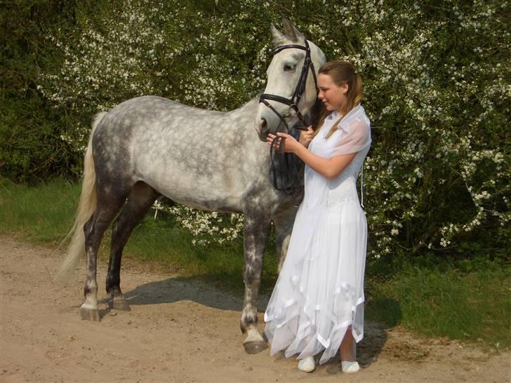 Anden særlig race Silver (SOLGT) - Til min konfirmation 2006 :) - Prøv at lægge mærke til hvor meget lysere han er blevet siden :O billede 9