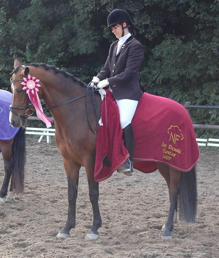 New Forest Strandagers Maritza - mig og rulle til præmieoverrækkelse til ØDM som vi vandt :D billede 15