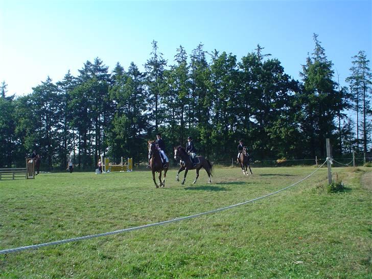 Anden særlig race Sille - Sille og mig til æresrunden.. Vi fik en 3. plads! :D  august 2007 billede 5