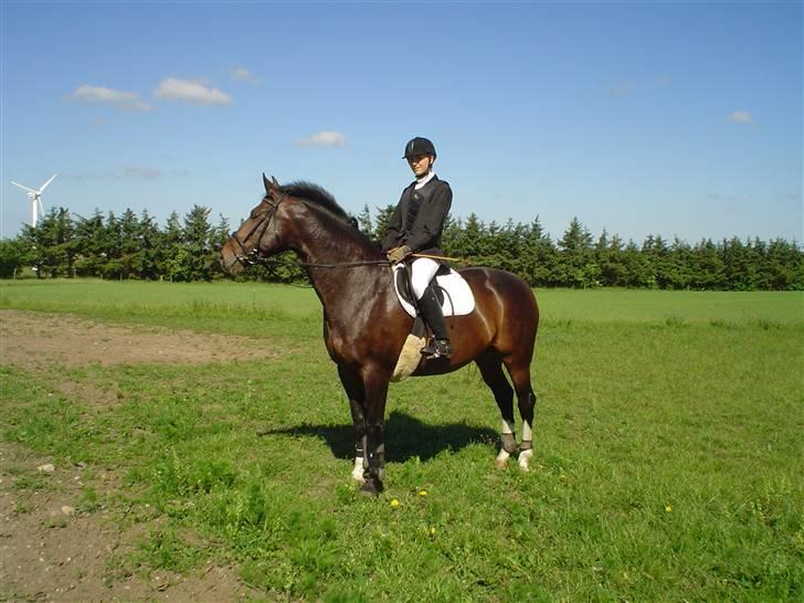 Anden særlig race Sille - Mig og Sille, juni 2007 billede 11