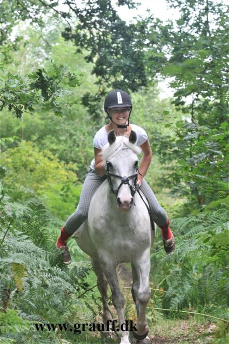 Anden særlig race Fiona *solgt* - Super dejligt billede af os på grauff ridelejr 2010!.. Fiona elsker at være i skoven det kan man tydeligt se her :) Fotograf: Grauff "7" billede 7