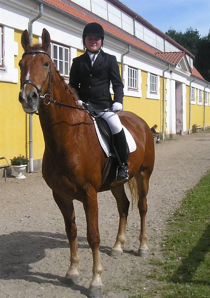 Frederiksborg Robin  - Mig og Robin til stævne billede 1