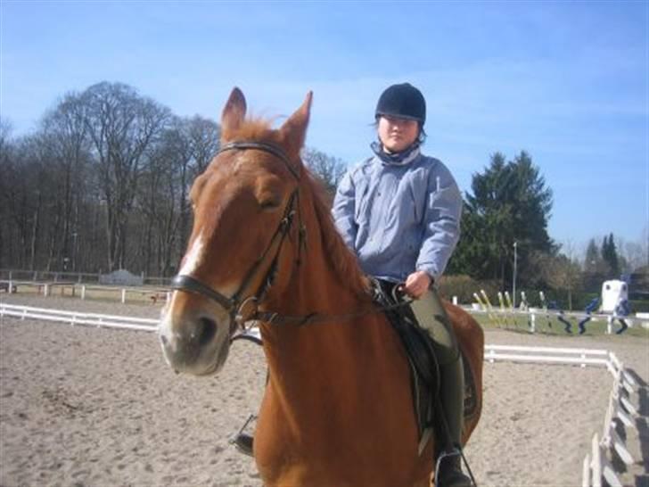 Frederiksborg Robin  - Lige inden undervisningen billede 4