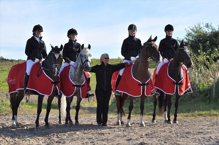 New Forest Elmholts Education A-pony (solgt) - DM hold -holdet + træner Jannie! © Foto Jan Vleugel billede 15