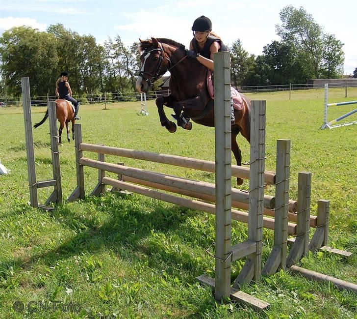 DSP Red Lady -  tidl. pony R.I.P :'( - Sommerhus 2009 du er så skøn Red Lady! Elsker det her billede! (: - taget af Clara  billede 8