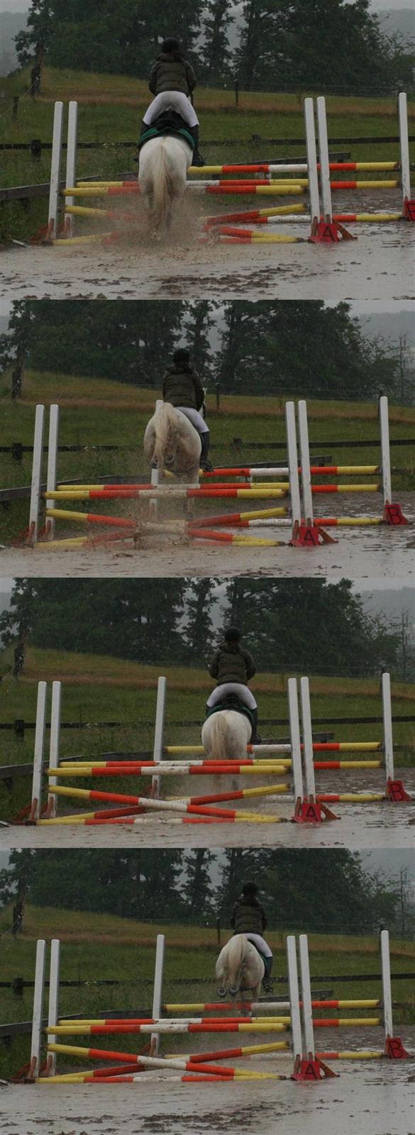 Anden særlig race Figaro (aflivet) - KLubstævne 07 i øse pøse regn vejr. Alle formaliteterne var glemt, vi skulle bare igennem det! : ) billede 15