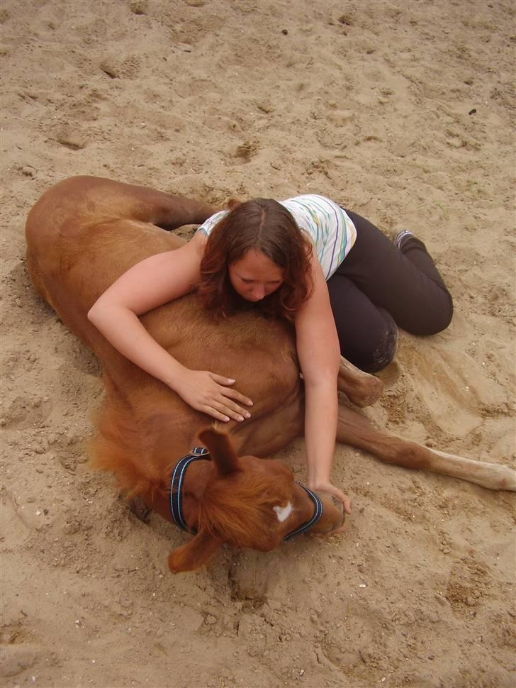 Anden særlig race Moon Dancer  *MD* - nusser lige  billede 12